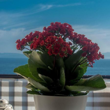 Apartment Paradise View Rijeka Exterior foto