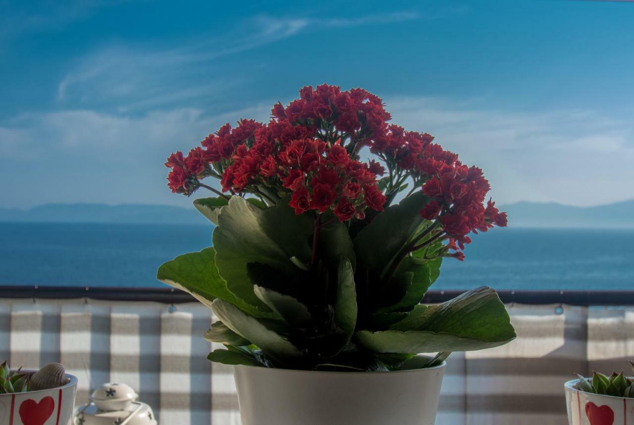 Apartment Paradise View Rijeka Exterior foto